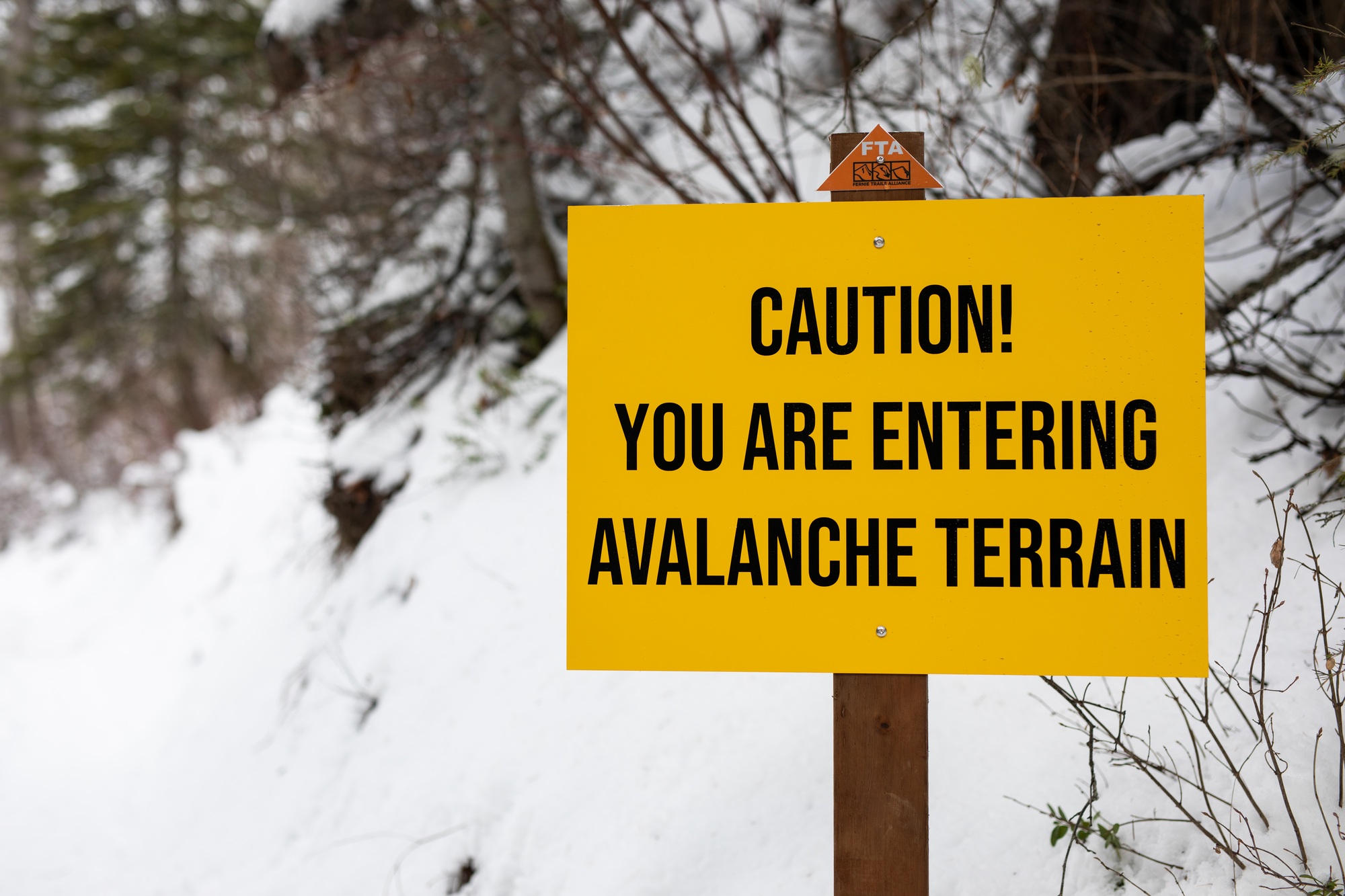 Debt Snowball vs. Debt Avalanche: Which Payoff Strategy Wins?