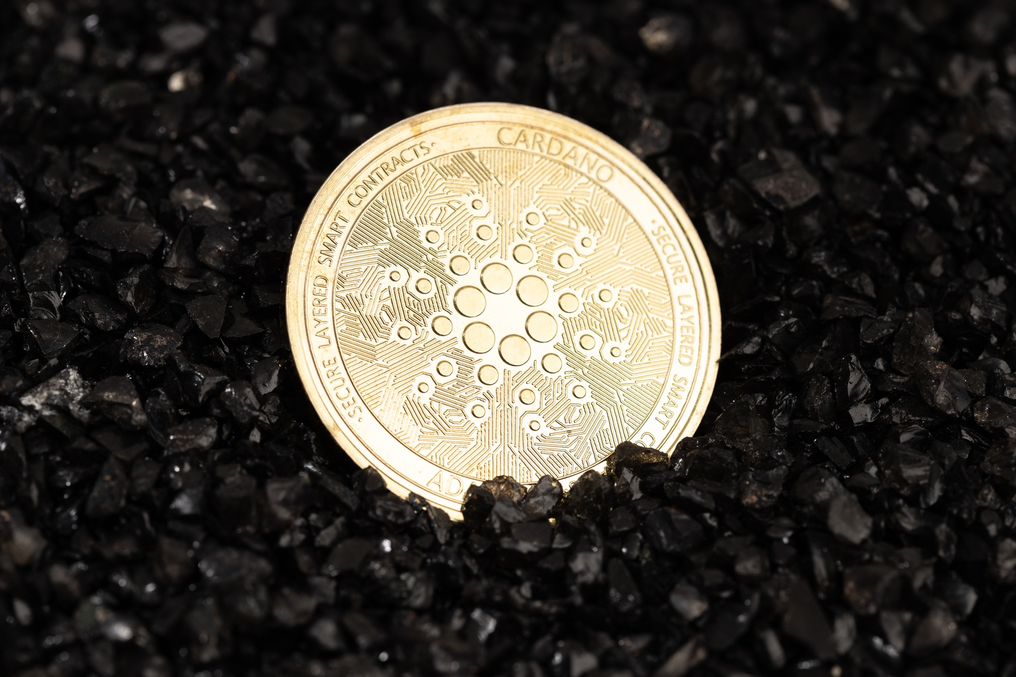 Cardano price prediction, ADA bullish forecast, Cardano whale activity, ADA ETF news, Cardano technical analysis 2025