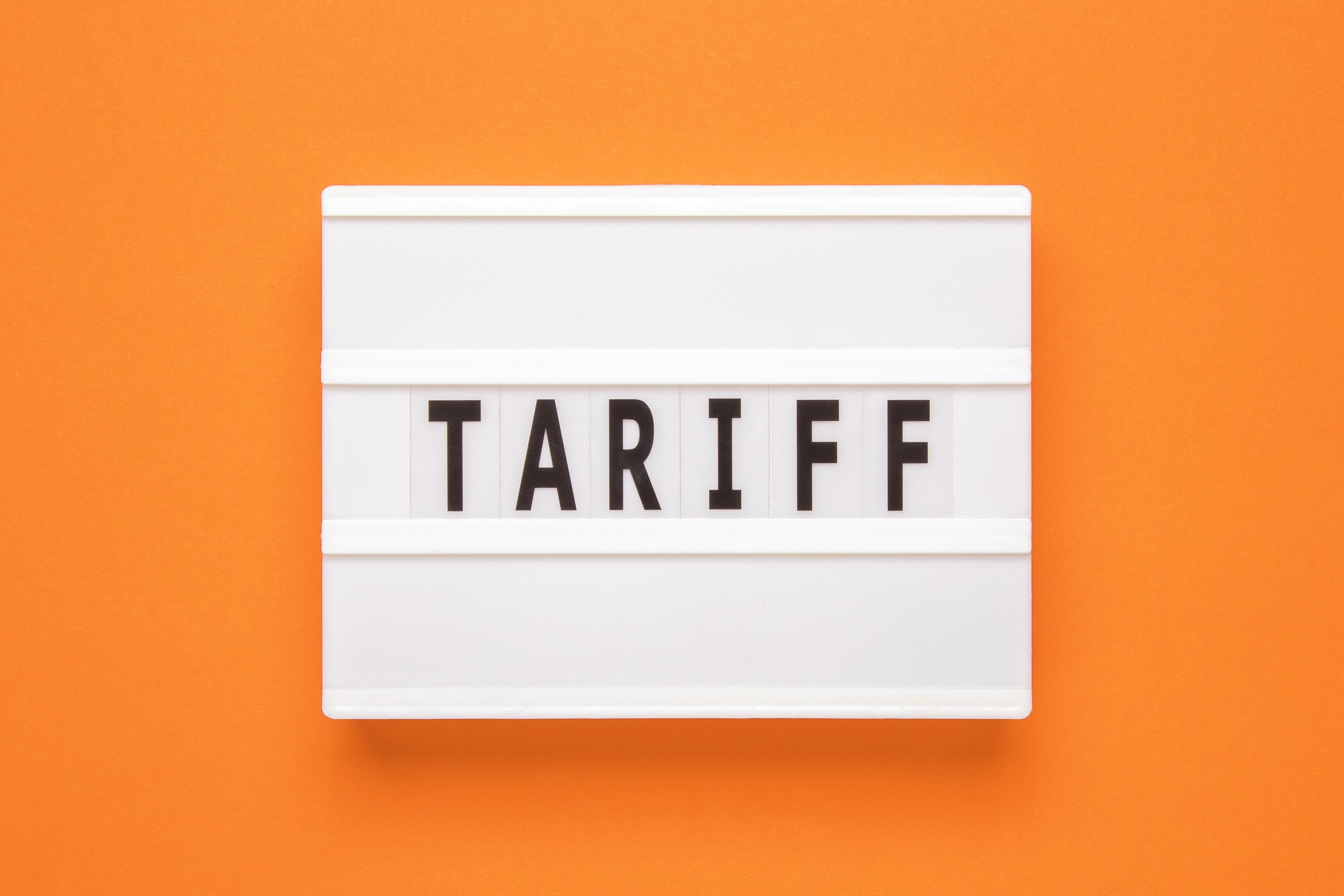 Is Palantir Stock Immune to Tariff Pressures or Dangerously Overvalued?