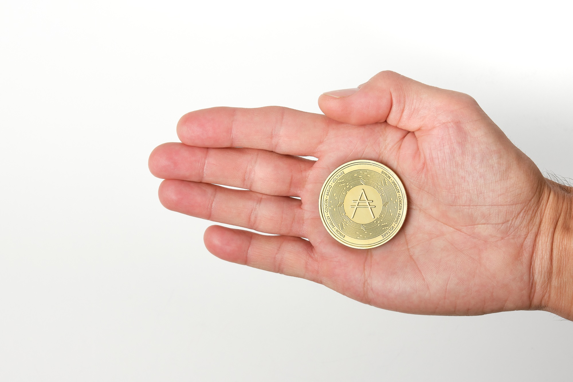 Cardano Price Climbs as Whale Accumulation Signals Bullish Momentum