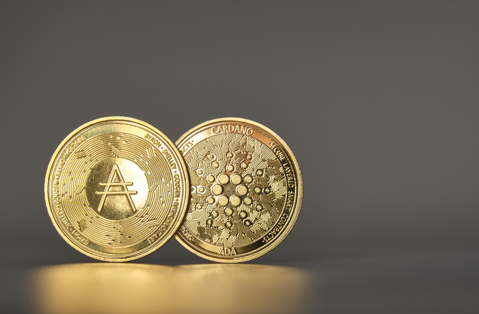 Cardano Price Eyes Rebound as Whales Accumulate and Technicals Align