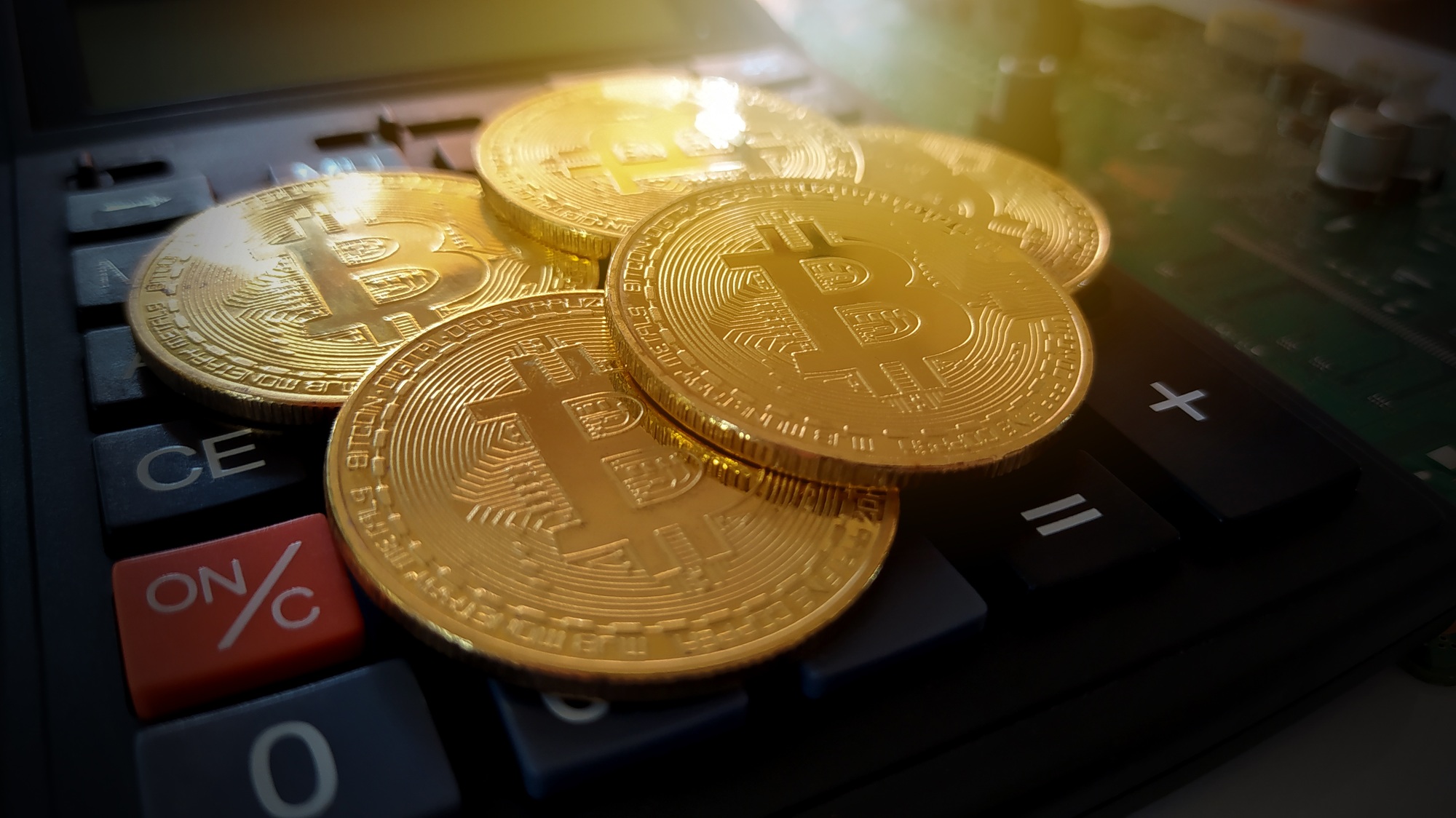 Alleged Torture of Bitcoin Millionaire in NYC Home Unveiled