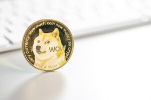 DOGE Rallies as New Integration Sparks Investor Excitement