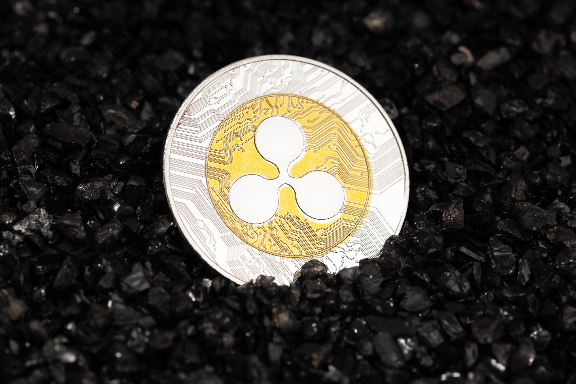 XRP, XRP Ledger, transaction surge, whale accumulation, Ripple