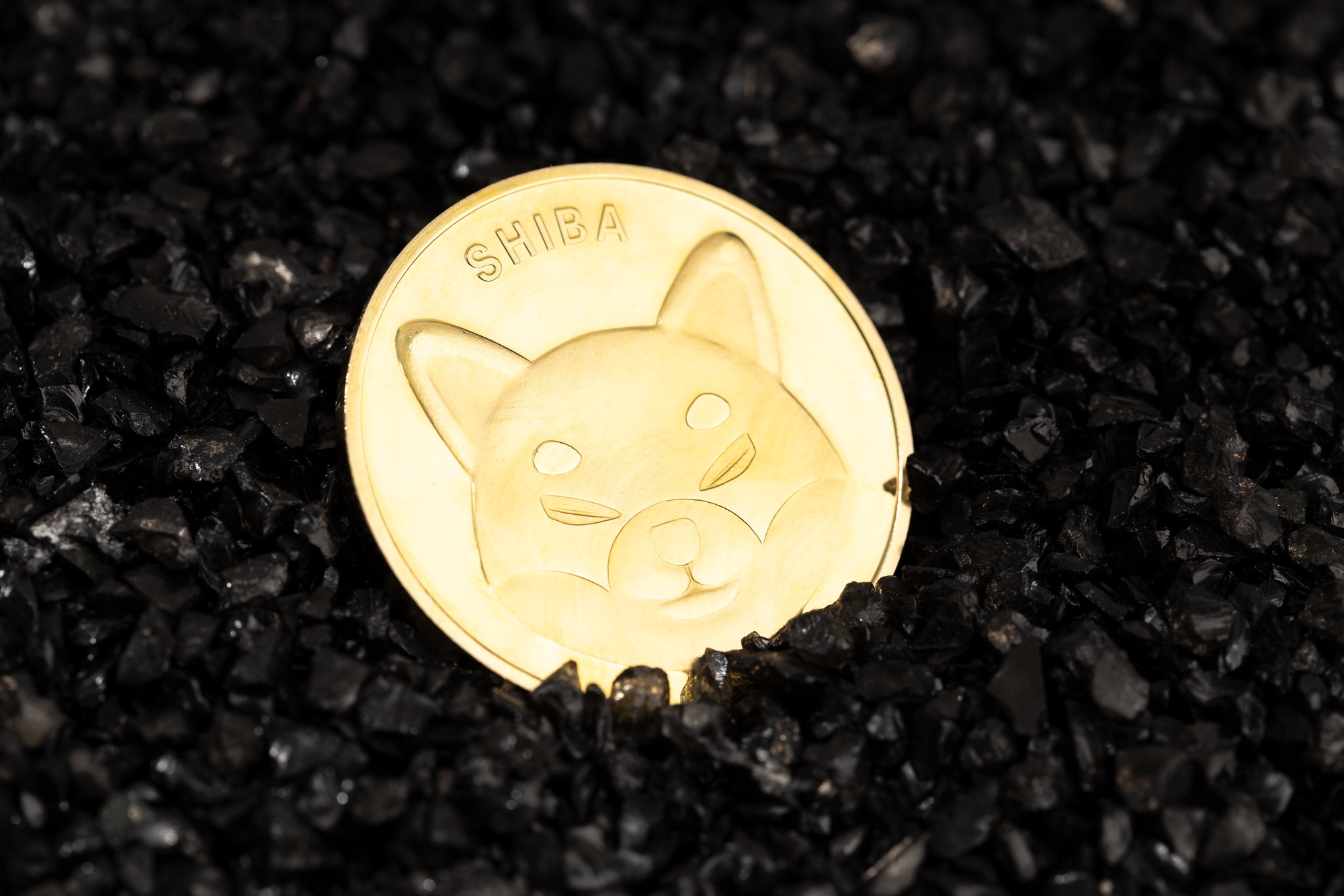 Shiba Inu Price Eyes Breakout as Shibarium TVL Hits $3M
