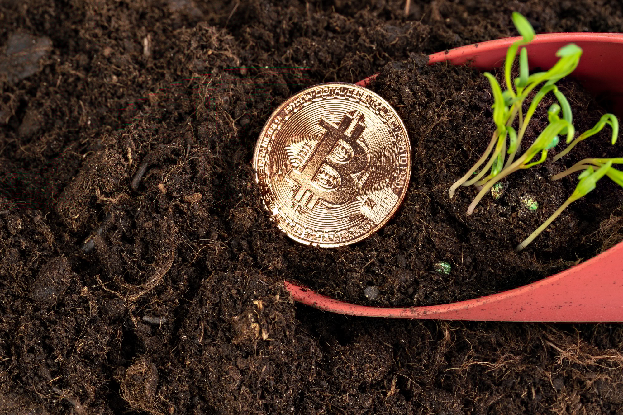 Bitcoin faces key resistance at $98K after short squeeze rally