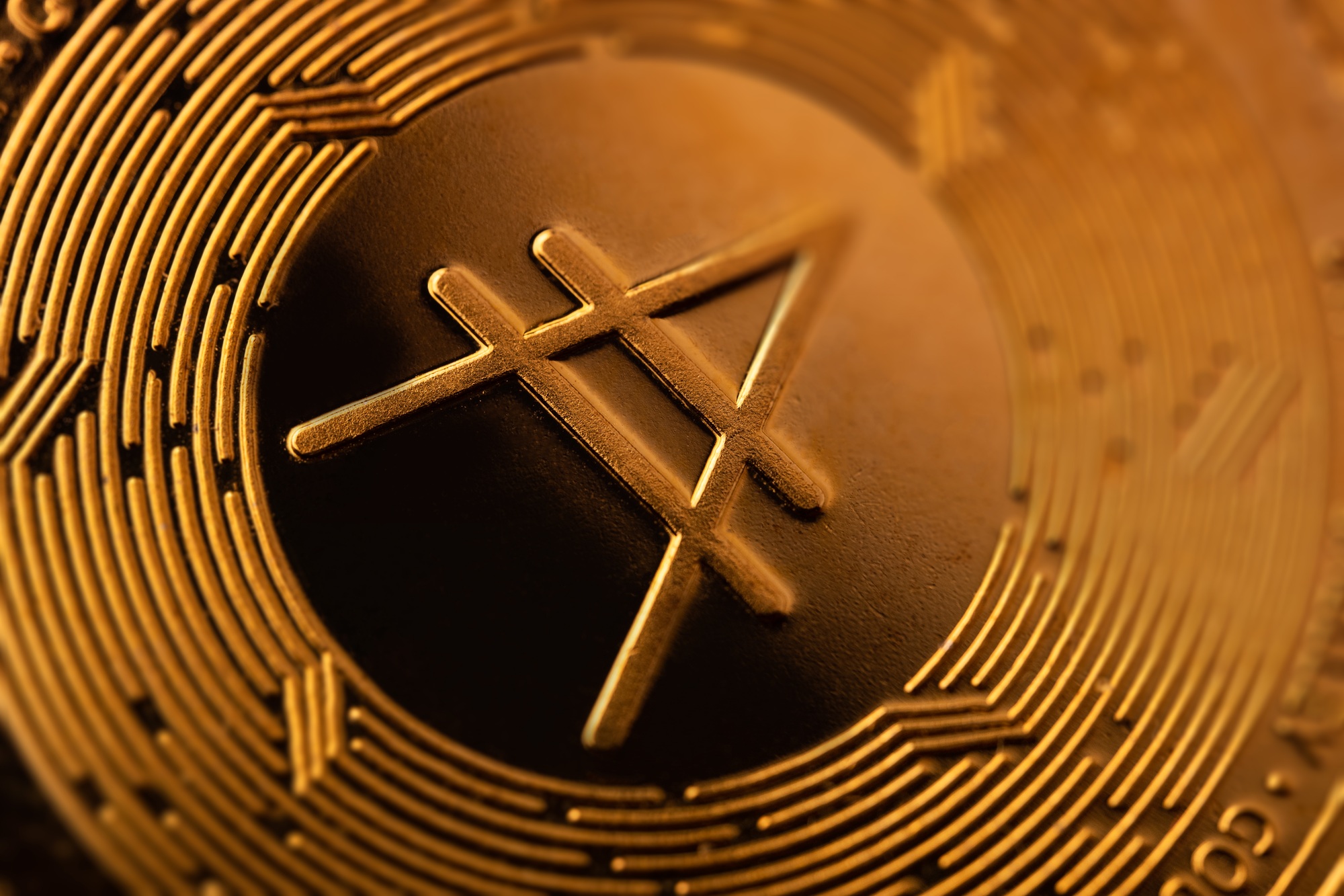 Cardano Price Prediction: ADA Targets $1 Breakout with Whale Support