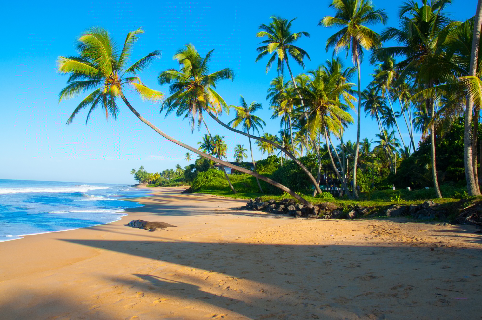 GovPay Launches in Sri Lanka, Digitizing Government Payments