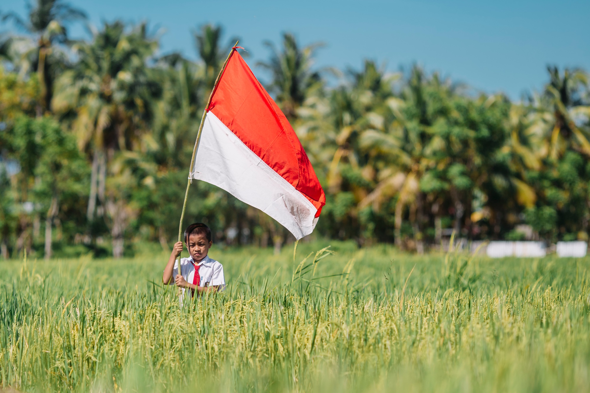 Indonesian Finance Minister Discusses Budget Plans in Bloomberg Interview