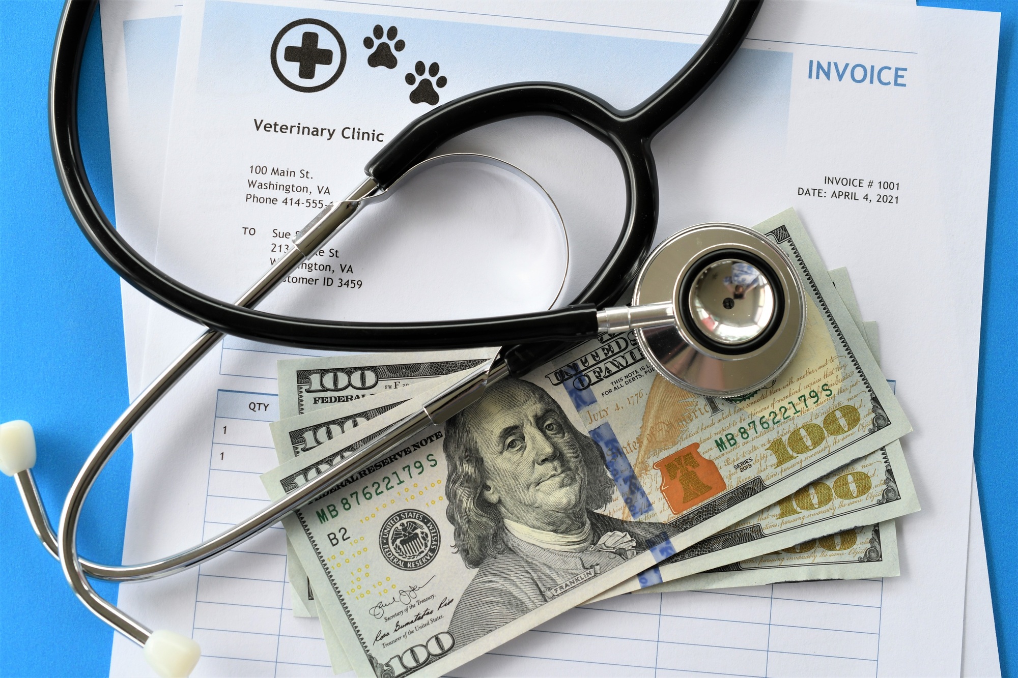 How to Budget for Pet Expenses and Unexpected Vet Bills