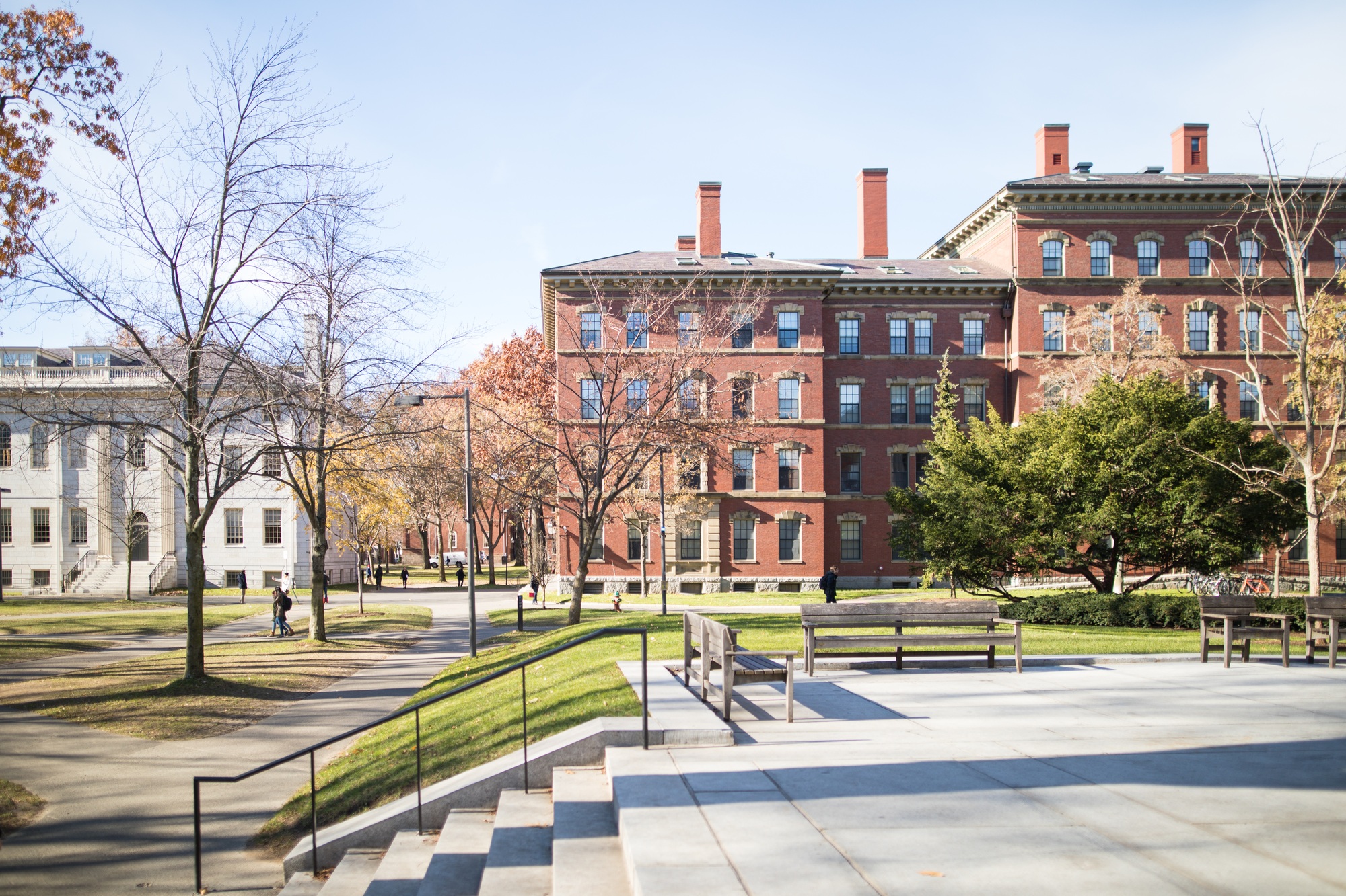 Harvard invests $117 million in Bitcoin ETF, surpassing Google and Nvidia holdings